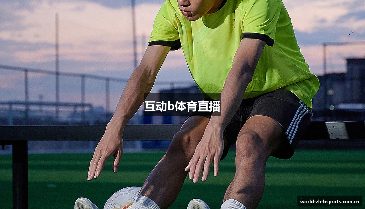 互动b体育直播
